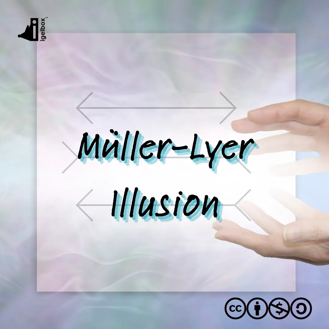 Müller-Lyer Illusion