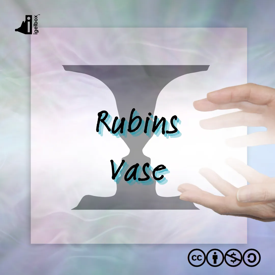 Rubins Vase